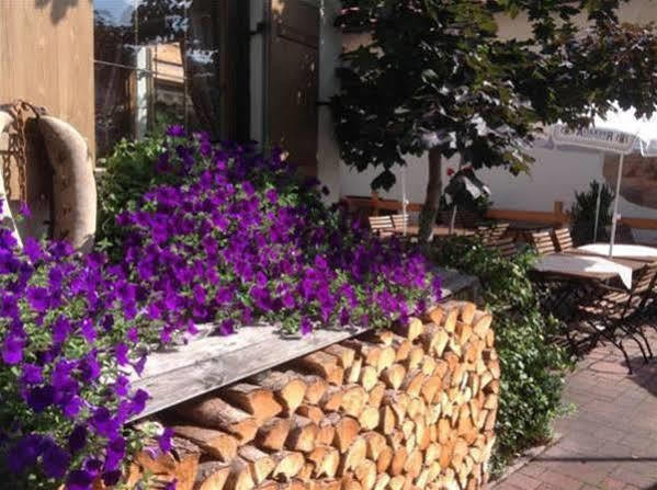 Hotel Restaurant Frühlingsgarten Fussen Bagian luar foto